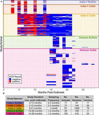 Extinction Dynamics of the Foot-and-Mouth Disease Virus Carrier State Under Natural Conditions